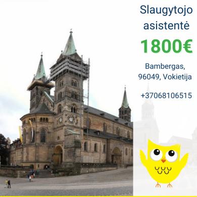 Slaugytojo asistentė Vokietija-0