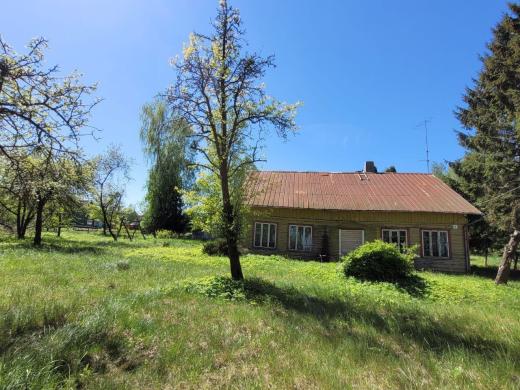 ŠAKIŲ R. SAV. ŠILGALIŲ K., P. BŪČIO G. 8-2