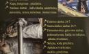 Profesionalios Meistrų Paslaugos-1