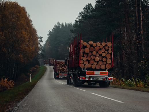 Miškovežio vairuotojo-operatoriaus darbas (su fiskaru)-5
