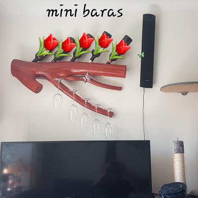 Mini baras-3