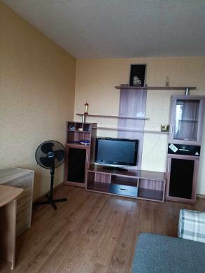 Išnuomojamas 1 kambario butas Klaipėdoje-3