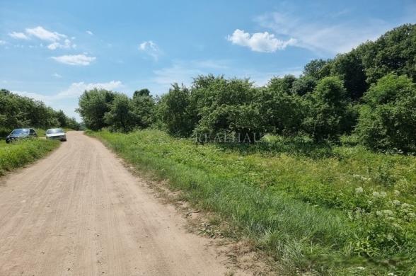SVAJONIŲ SODYBA PRIE EŽERO 1,60 HEKTARO SKLYPAS!-2