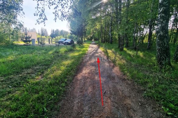 Sukurkite savo rojaus kampelį 45a. žemės sklypas Šalčininkuose!-3
