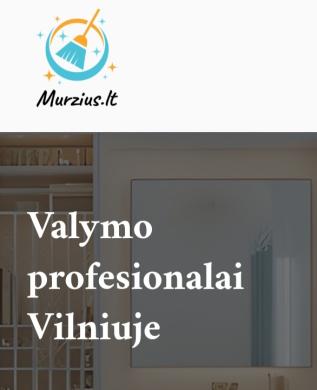 Minkštų baldų cheminis valymas-4
