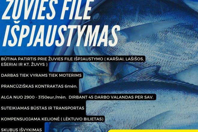 Darbas Prancūzijoje - be užsienio kalbos-0