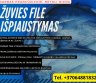 Darbas Prancūzijoje - be užsienio kalbos-0