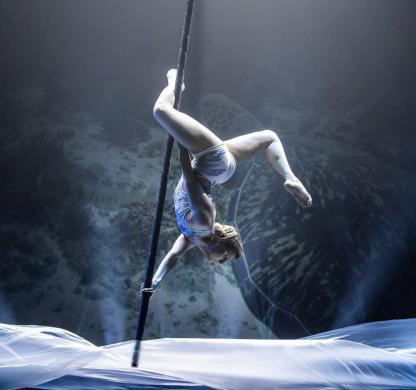 Pole dance šou ir oro akrobatikos pasirodymai-3