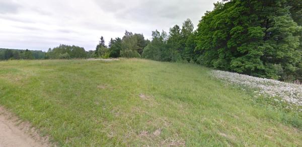 Parduodamas sklypas 30 arų prie Vabalių Ežero Alytaus raj.-4