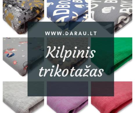 Audiniai internetu www.darau.lt-4