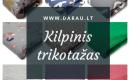 Audiniai internetu www.darau.lt-4