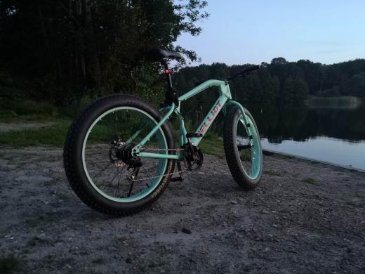 Fat bike-3