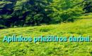 Aplinkos priežiūra-3