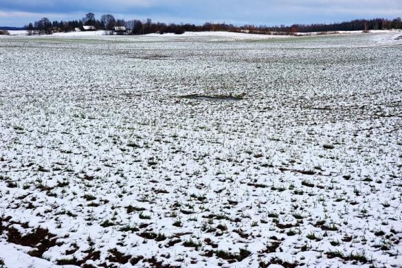 Parduodamas žemės sklypas Zakariškių k., Dūkštų sen., Vilniaus raj.-4