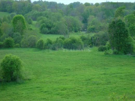 Parduodamas 1,1 ha žemės sklypas Paširvinčio k., Širvintų raj.-2