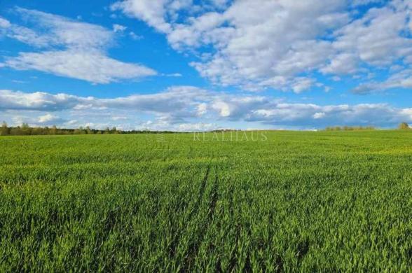 4,41 ha  žemės sklypas Merkinės k., Turgelių sen. Šalčininkų raj.-4