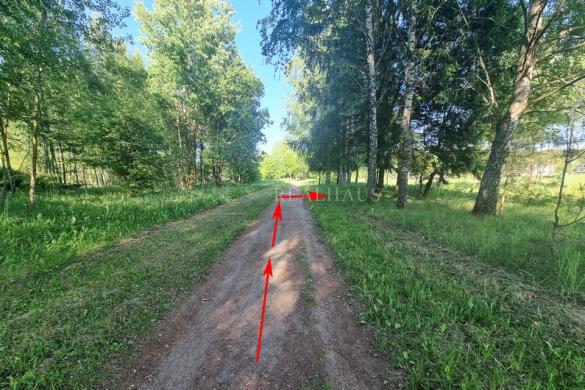 Sukurkite savo rojaus kampelį 45a. žemės sklypas Šalčininkuose!-4