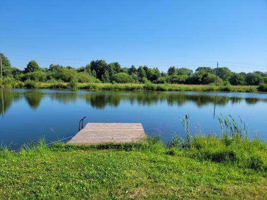 Šakių r. sav., Griškabūdžio sen., Patamošupių k. 3 Tvarkinga sodyba - vienkiemis, šalia patašinės tvenkinys ~ 500 m-4