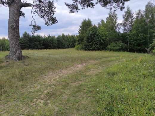 Parduodama sodyba Alytaus r. Butrimonių sen. Beržinės k.-4