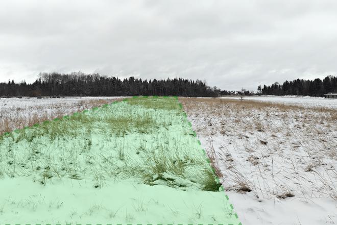 Žemės ūkio sklypas Šiaulių raj., Noreikiuose, 0.67-0