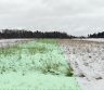Žemės ūkio sklypas Šiaulių raj., Noreikiuose, 0.67-0