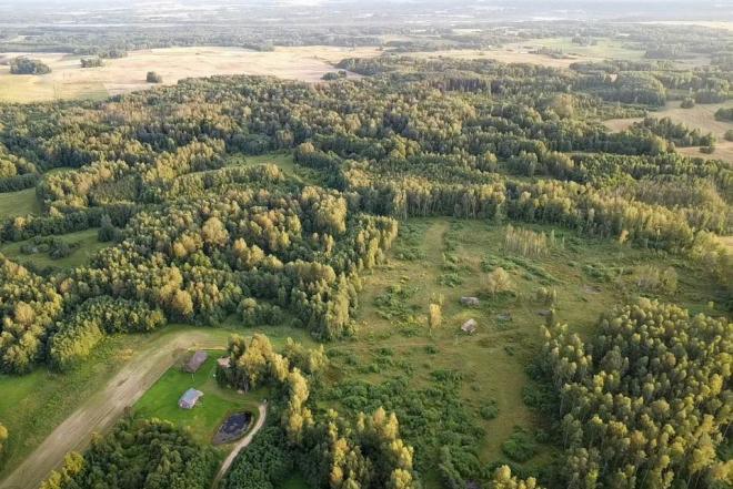 PARDUODAMAS VIENKIEMIS MIŠKO APSUPTYJE, ROKIŠKIO R. SAV., KRIAUNŲ SEN., RUKELIŲ K.-0