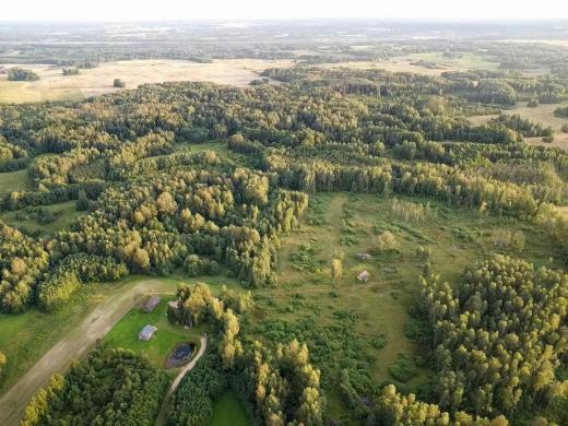 PARDUODAMAS VIENKIEMIS MIŠKO APSUPTYJE, ROKIŠKIO R. SAV., KRIAUNŲ SEN., RUKELIŲ K.-0
