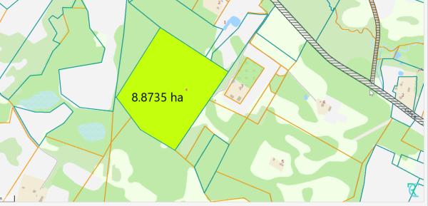 PARDUODAMAS VIENKIEMIS MIŠKO APSUPTYJE, ROKIŠKIO R. SAV., KRIAUNŲ SEN., RUKELIŲ K.-3