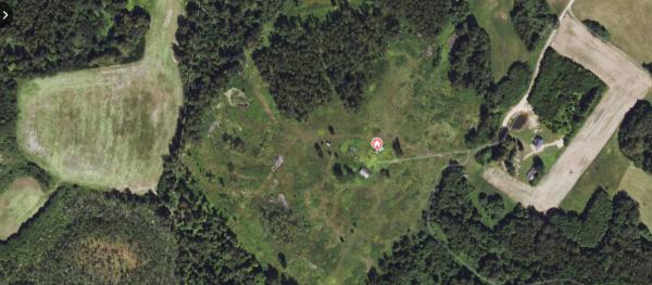 PARDUODAMAS VIENKIEMIS MIŠKO APSUPTYJE, ROKIŠKIO R. SAV., KRIAUNŲ SEN., RUKELIŲ K.-4