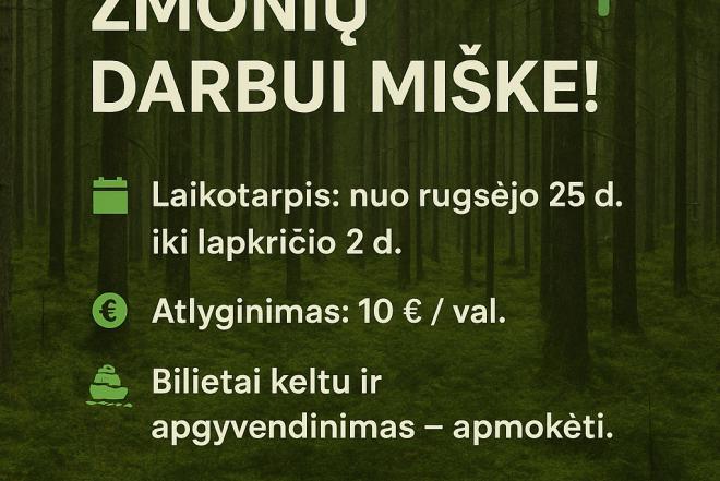 Trumpalaikis darbas Svedijoje-0