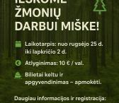 Trumpalaikis darbas Svedijoje-0