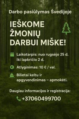 Trumpalaikis darbas Svedijoje-0