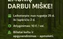 Trumpalaikis darbas Svedijoje-0