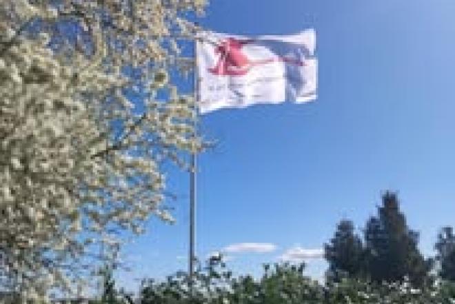Darbas knygryšiams Danijoje-0