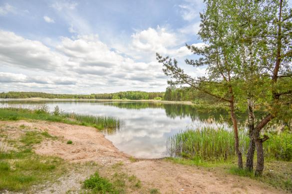 Gyvenamasis sodo namas Juodlieknio k.-6