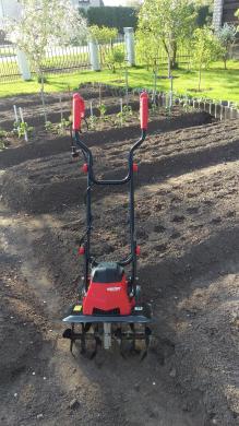 Kultivatoraius nuoma-2