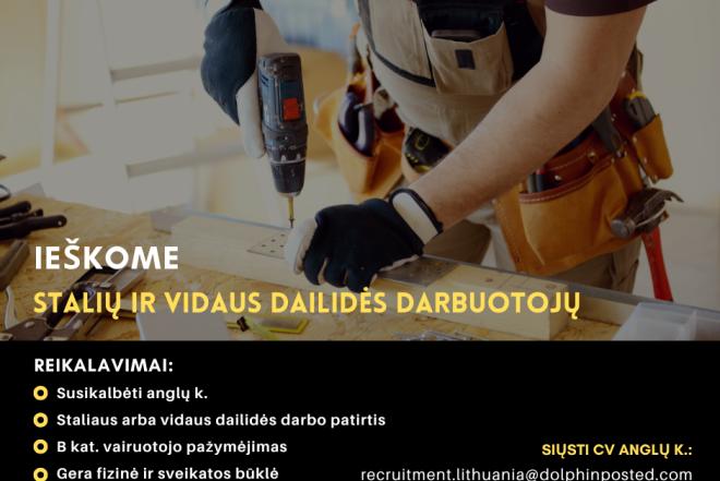 STALIAI IR VIDAUS DAŽYTOJAI – RIKSGRÄNSEN (ARCTIC SWEDEN)-0