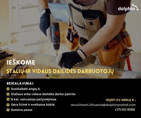 STALIAI IR VIDAUS DAŽYTOJAI – RIKSGRÄNSEN (ARCTIC SWEDEN)-0
