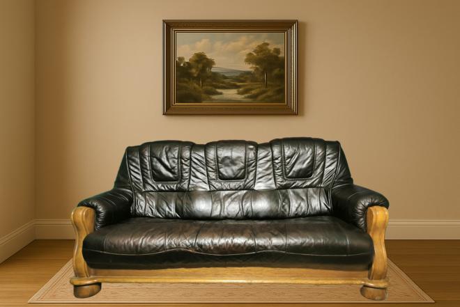 Odinė sofa-0
