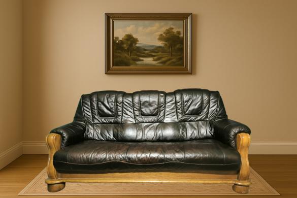 Odinė sofa-0
