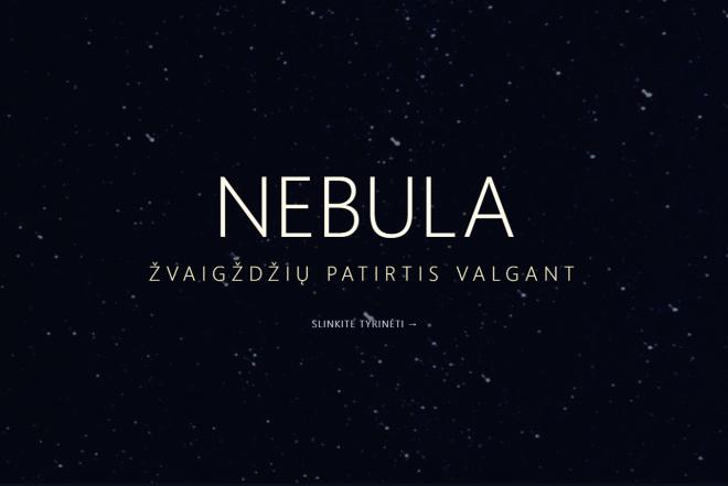 Kuriame ir prižiūrime profesionalias svetaines verslams.-0