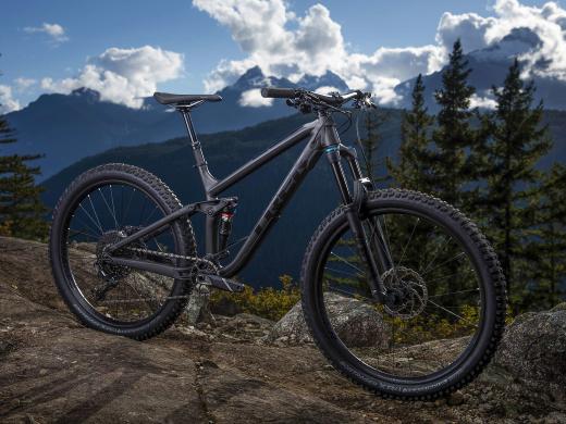 Trek Fuel EX 8 Plus 2019-4