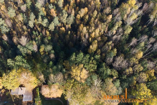 Namas akligatvyje, prie miško-0