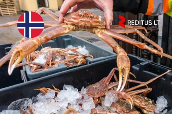 Produkcijos darbuotojai (krabai) – darbas Norvegijoje (2013)-0