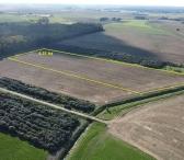 Parduodamas 4,31 ha sklypas Kauno r., Taurakiemio sen., Vyčiaus k.-0