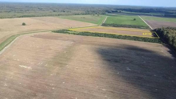 Parduodamas 4,31 ha sklypas Kauno r., Taurakiemio sen., Vyčiaus k.-1