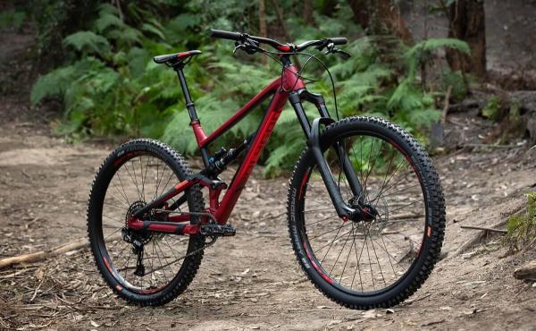 dviratis Polygon SISKIU N8-0