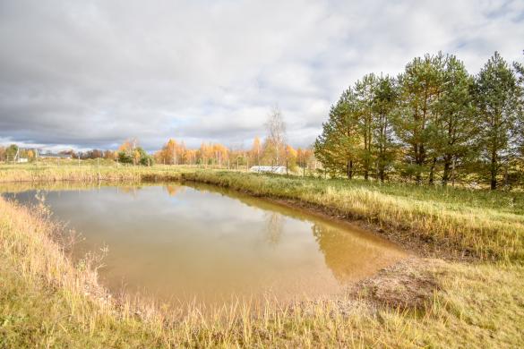 Rąstinis namas – pirtis netoli Panevėžio m.-5