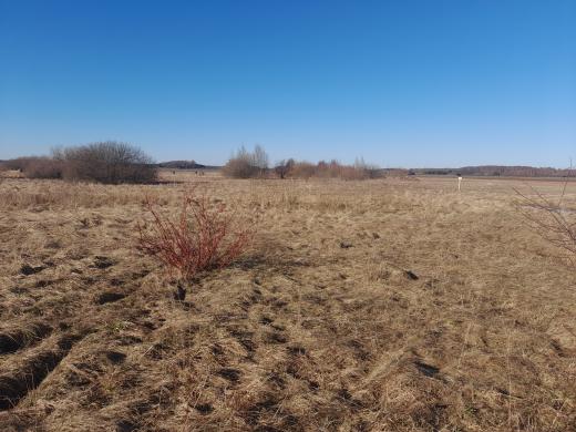 Parduodam 30,11 arų sklypą Šlapšilės km, Žiburių g. 25. Klaipėdos raj.-3