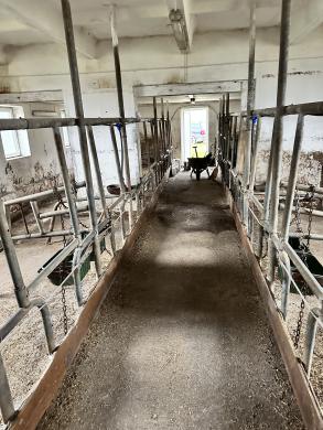 Mūrinis Namas 104.42 m²  Su Dideliu 25,13a. Sklypu,Ūkiniais Pastatais Vilkaviškio Rajone,Matlaukio gyvenvietėje-7